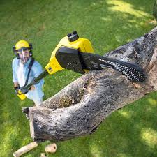Best Lawn Grading and Leveling  in Jonestown, TX